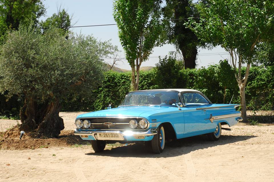 Eventos Impala1960