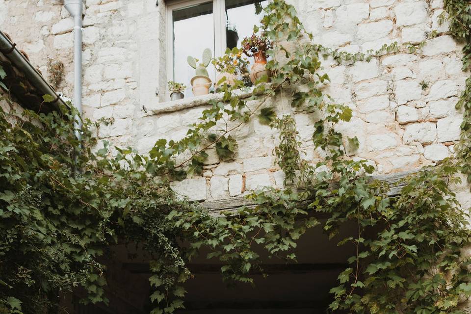 Fotos de postboda naturales