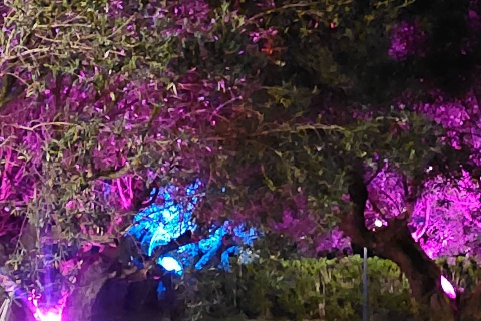 Iluminación Jardínes