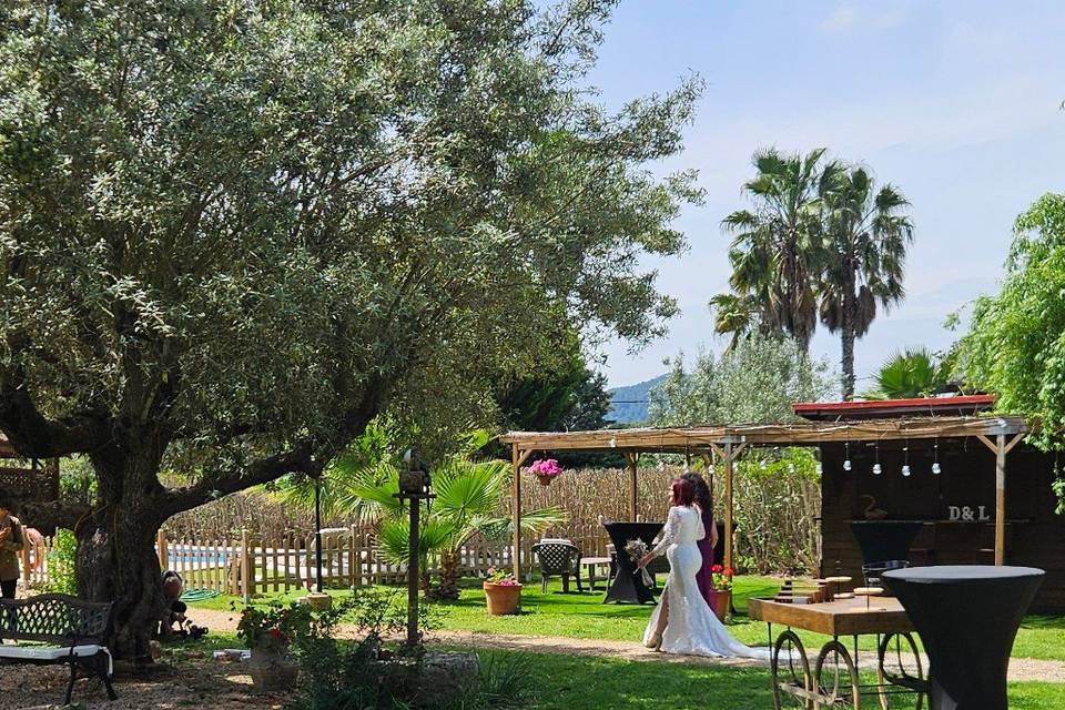 Boda