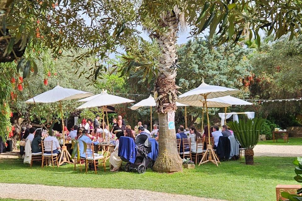 Boda