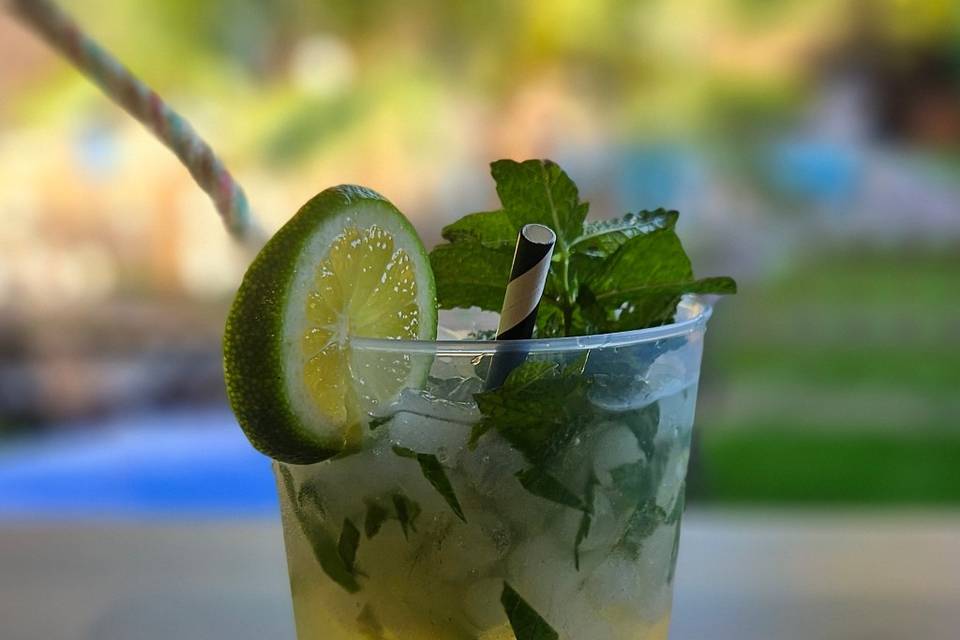 Nuestros cócktail
