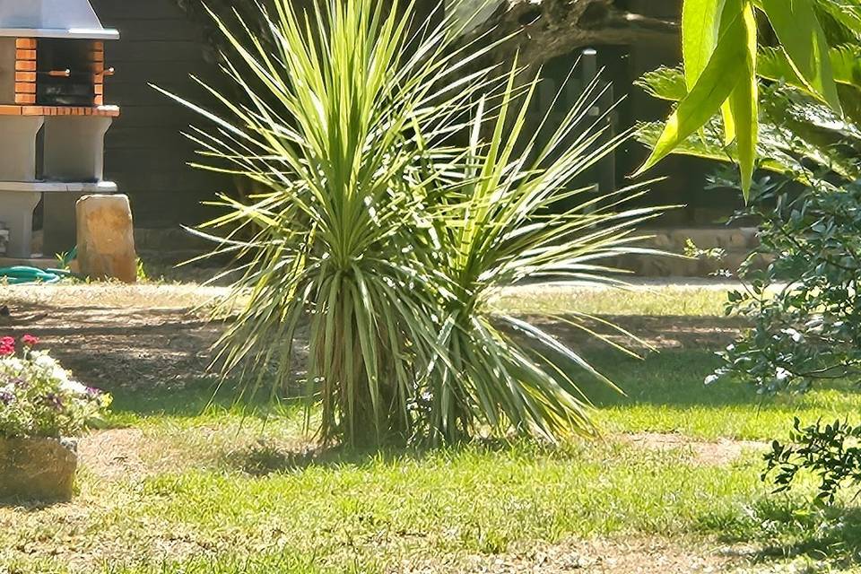 Jardín