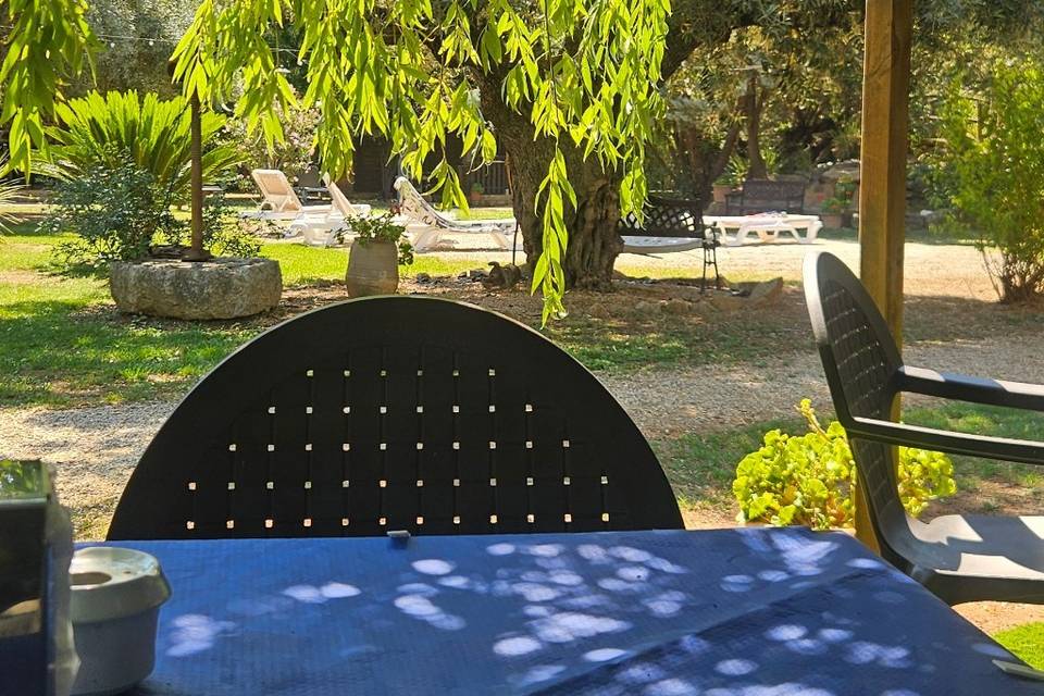 Vista jardín