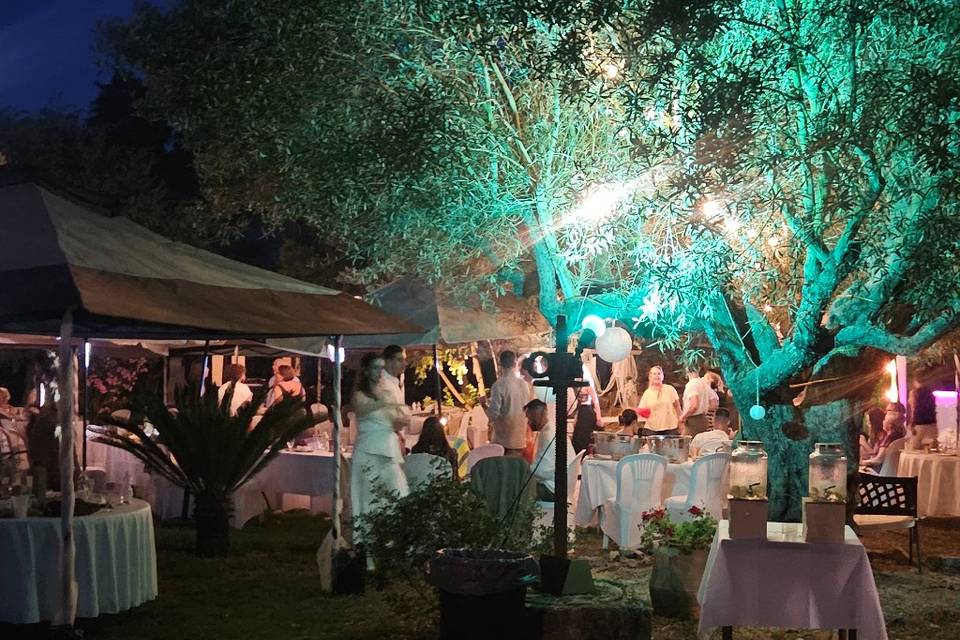 Tu fiesta