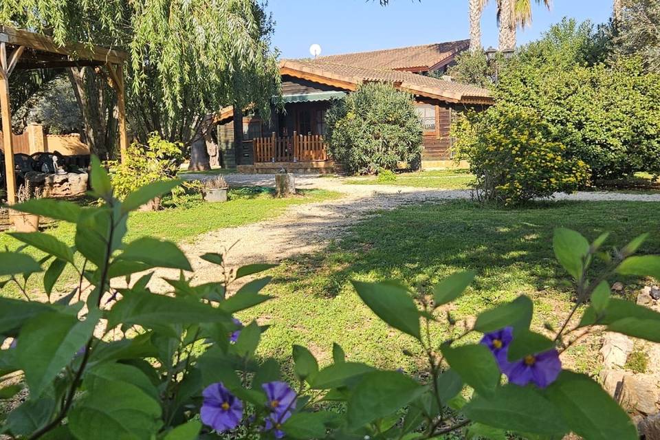 Jardín y cabañas