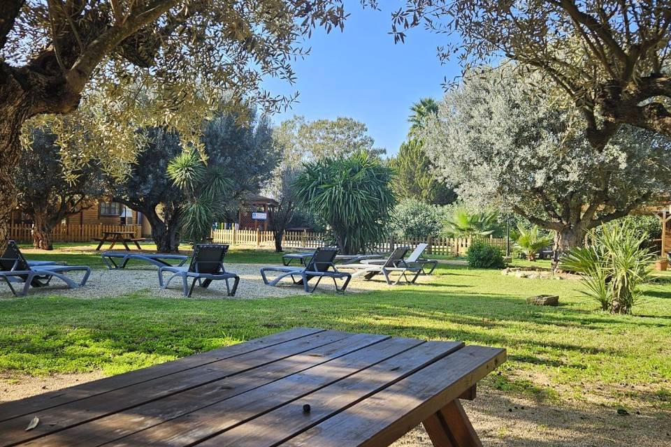 Jardín