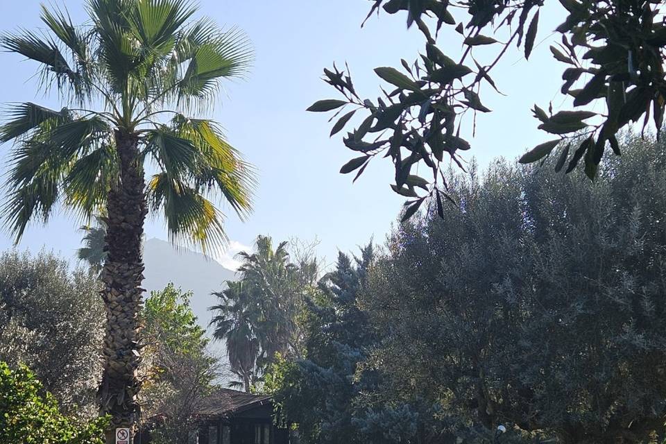 Jardín