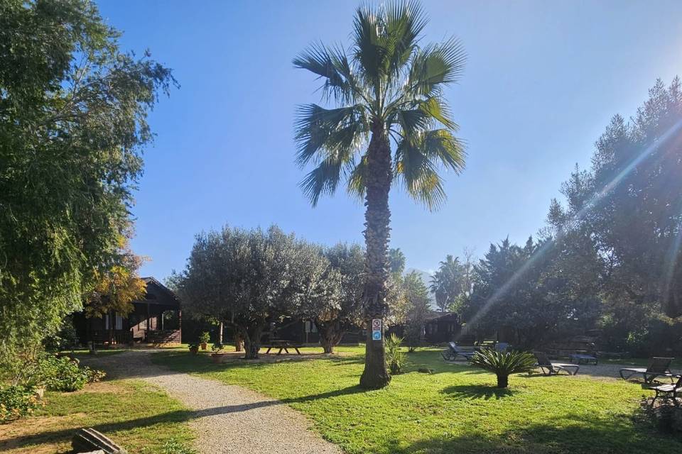 Jardín
