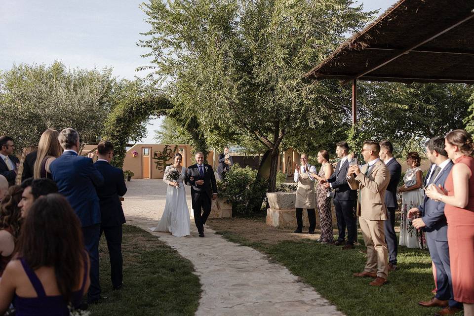 Novios