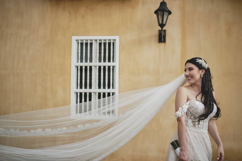 La novia