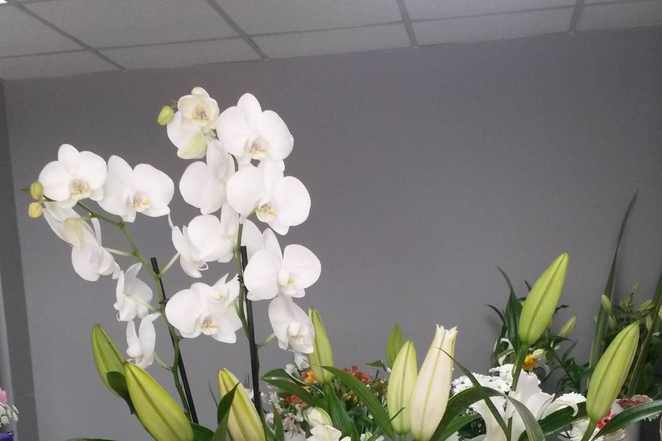 Centro con orquídeas