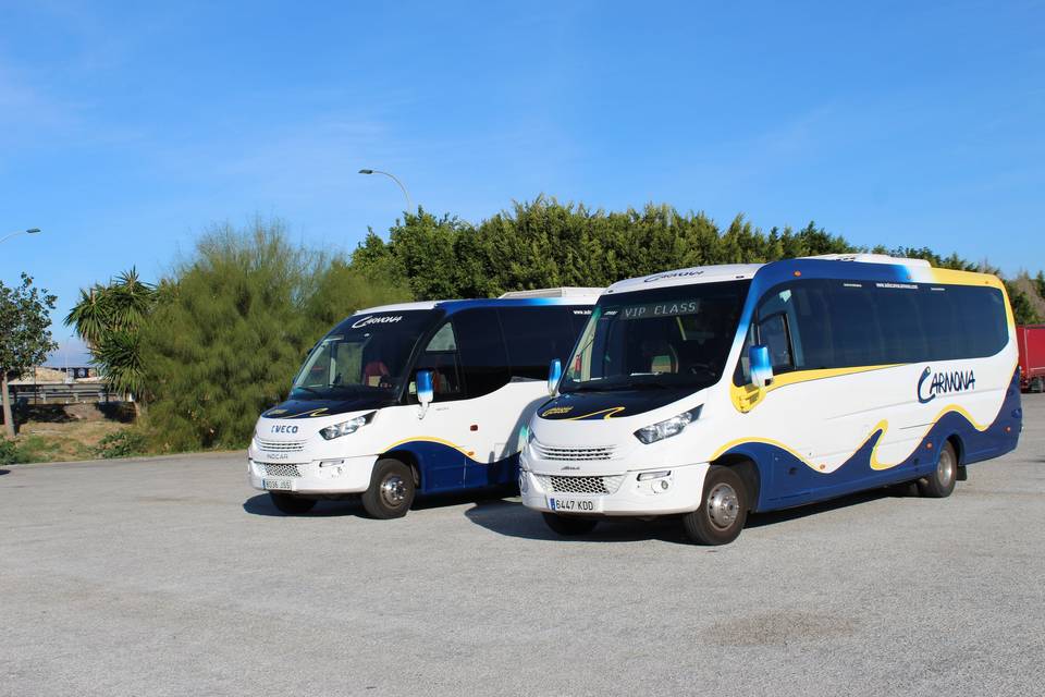 Minibuses de 28 pax