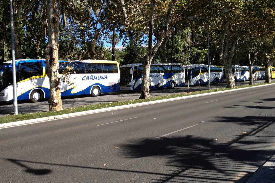 Autobús de 59 pax