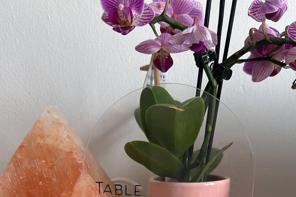 Números de mesa
