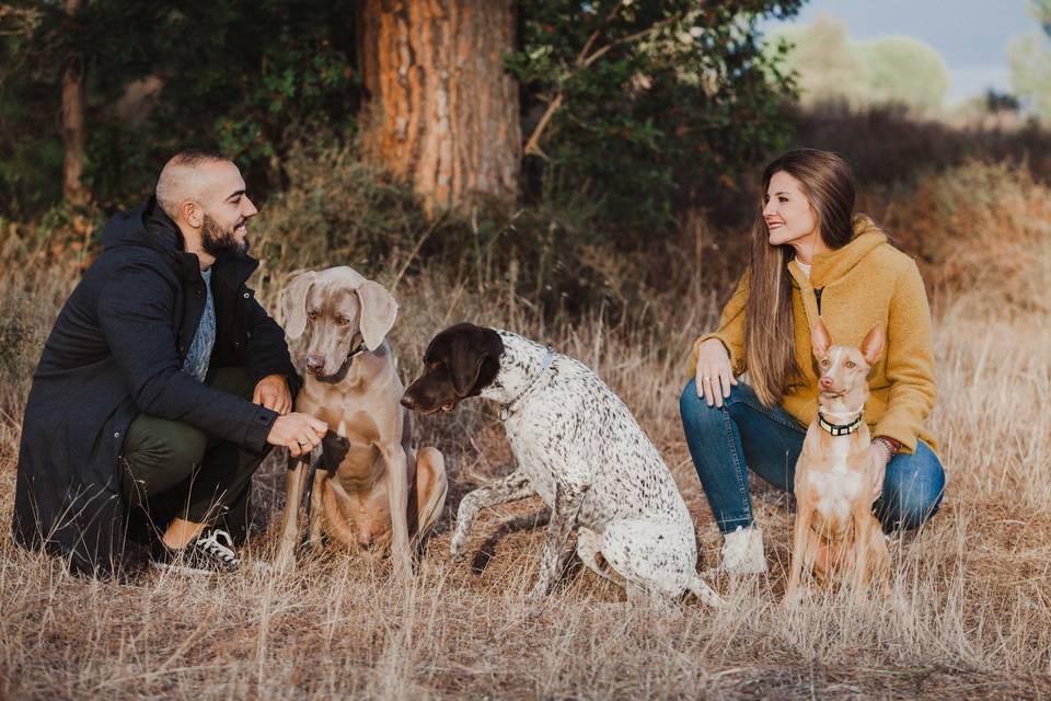 Parejas y mascotas