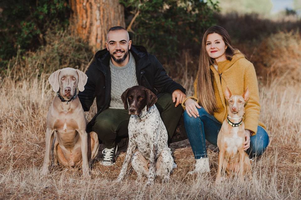 Parejas y mascotas