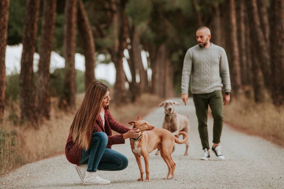 Parejas y mascotas