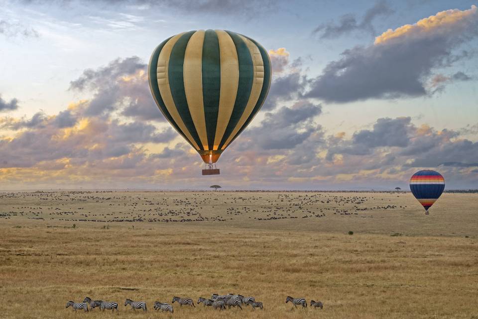 Africa