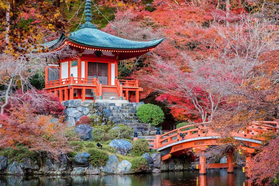 Japón
