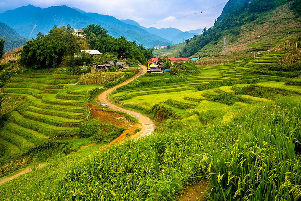Vietnam