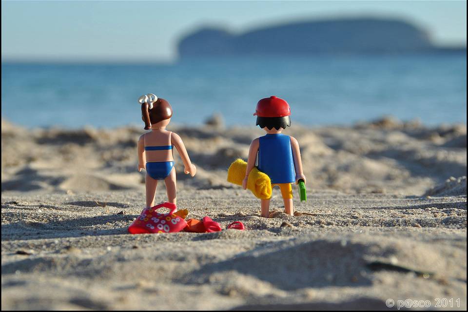 Novios Playmobil en Tenerife