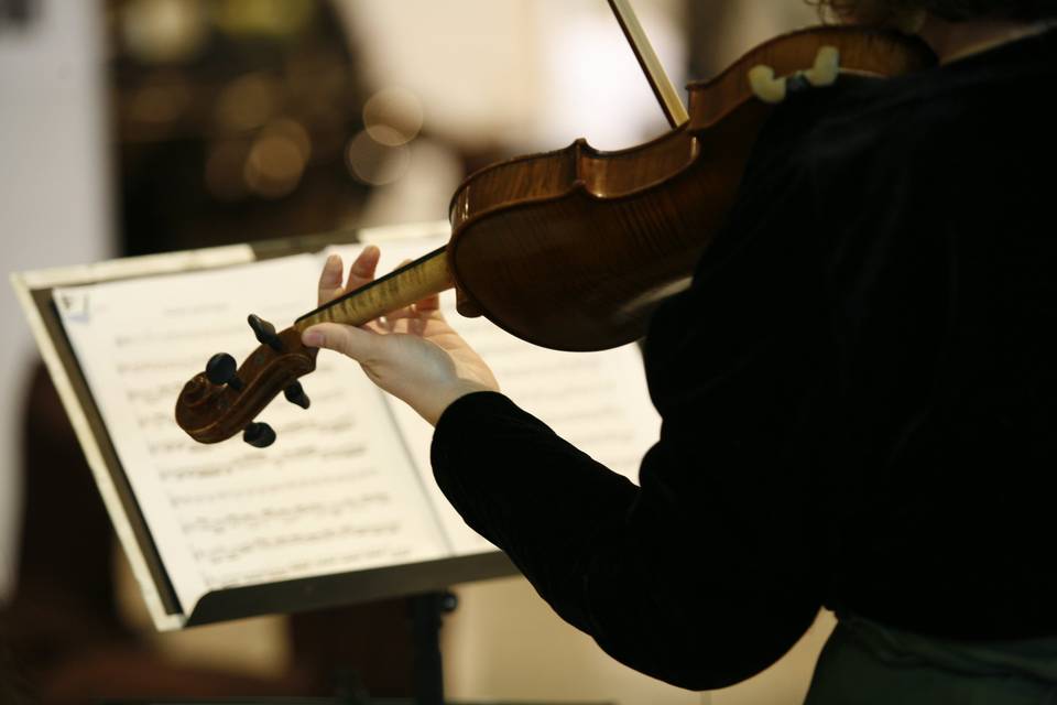 Solista violín