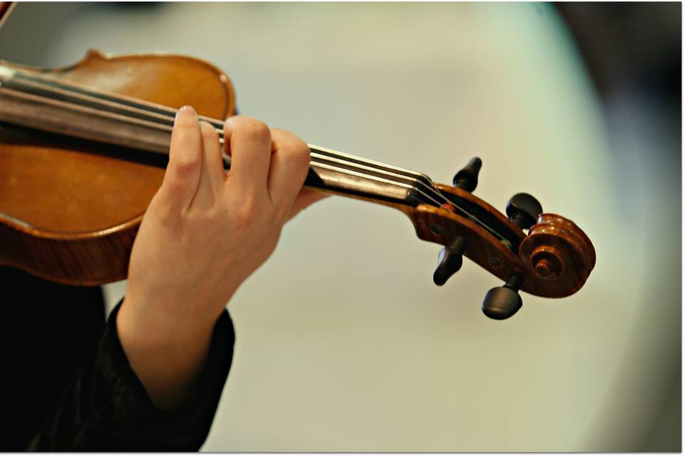 Violín