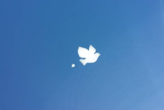 Nube en forma de paloma