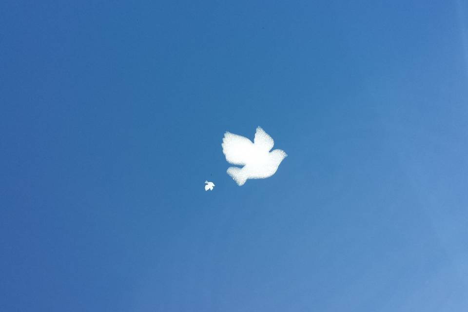 Nube en forma de paloma