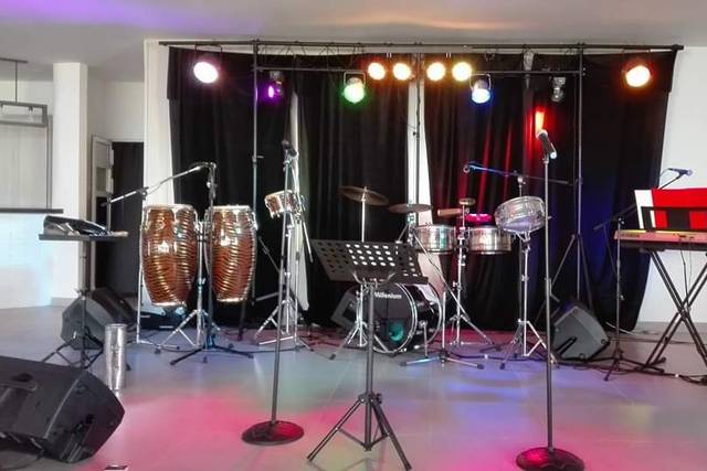 Músicos en directo