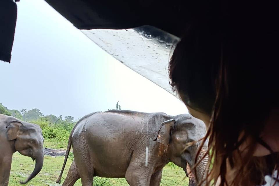 Sri Lanka