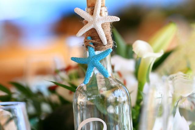 Fernando Terrasa Fotógrafo