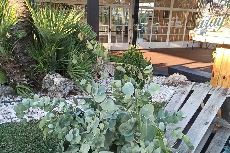Flores y Plantas Saray