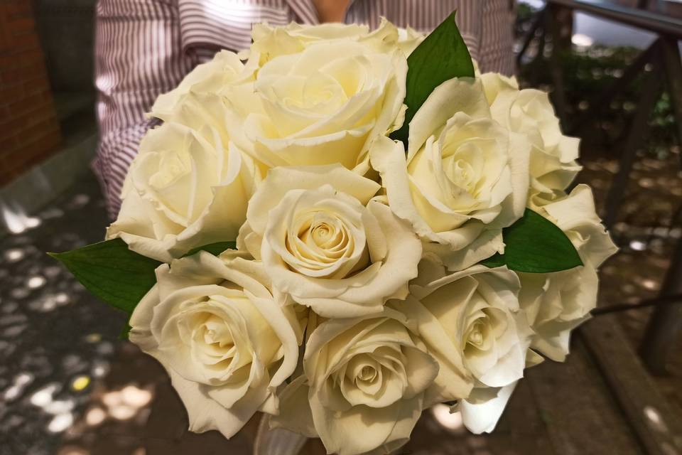 Flores y Plantas Saray