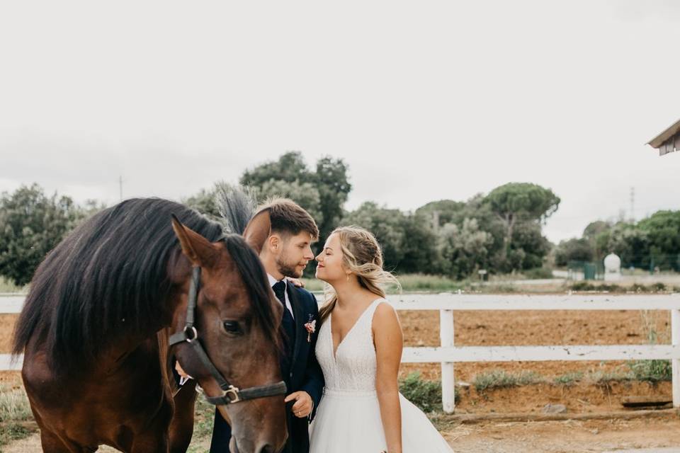 Postboda