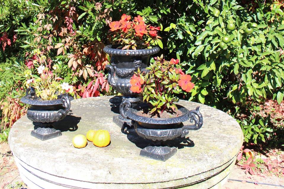 Detalle jardín