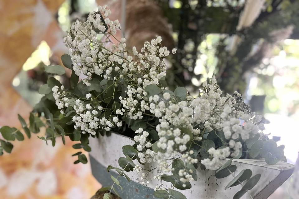 Eventos vintage