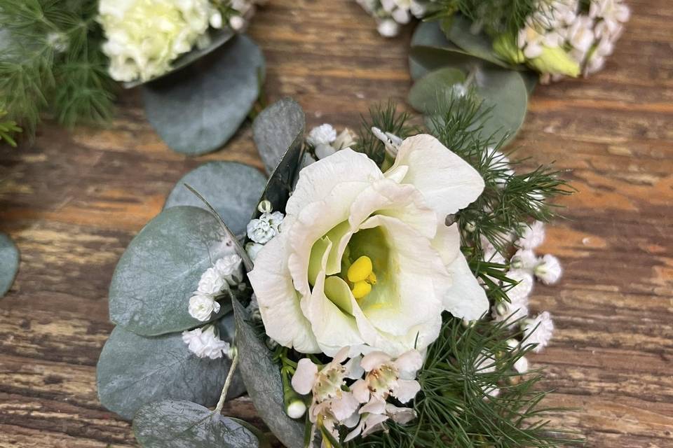 Prendido Lisianthus