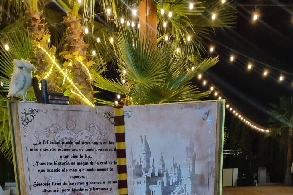 Photocall Harry Potter