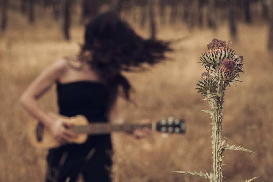 Canciones personalizadas