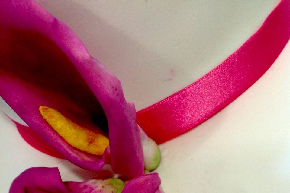 Orquídeas fucsia