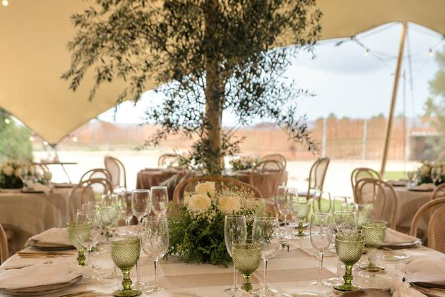 Banquete beduina