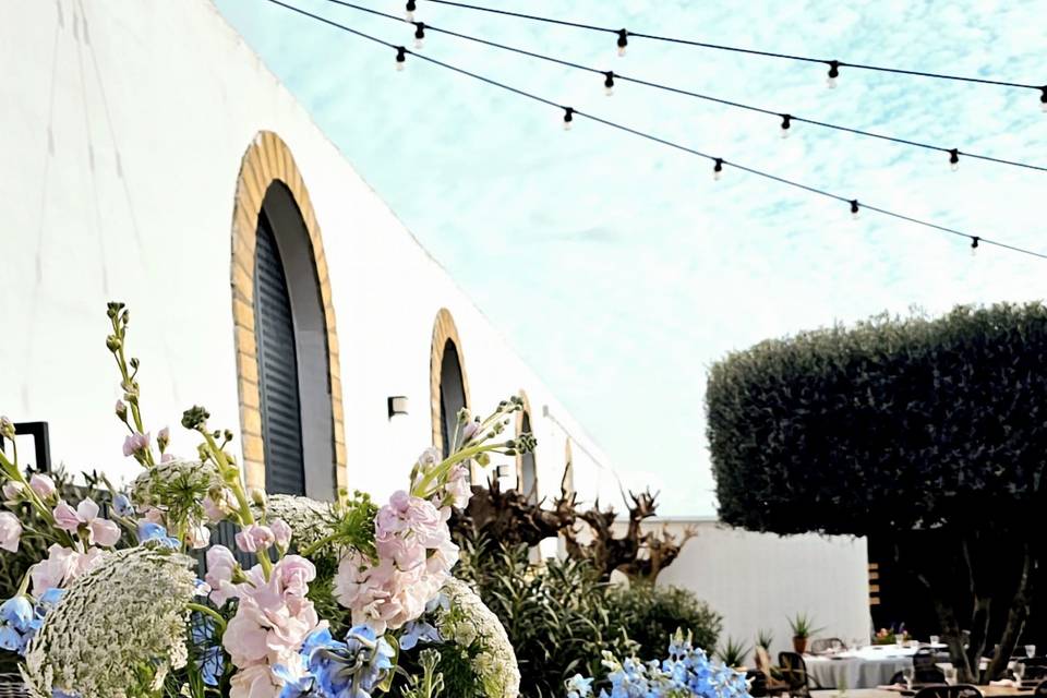 Bodas únicas