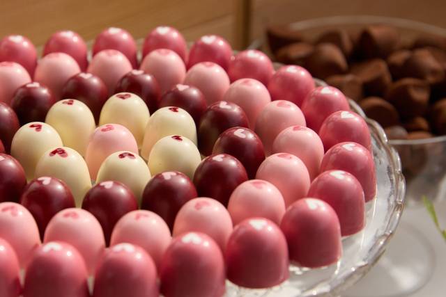 Xocopunt
