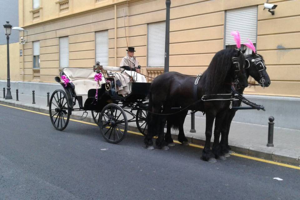 Cabalgata de disfraces