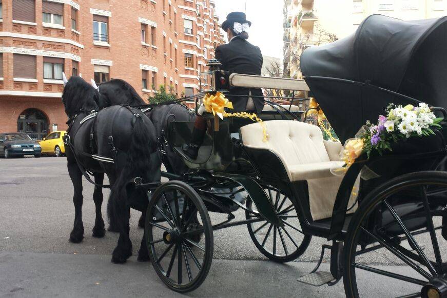 Presentación de falleras