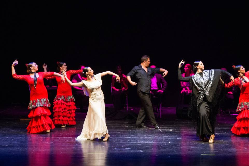 Ballet Flamenco Zambra