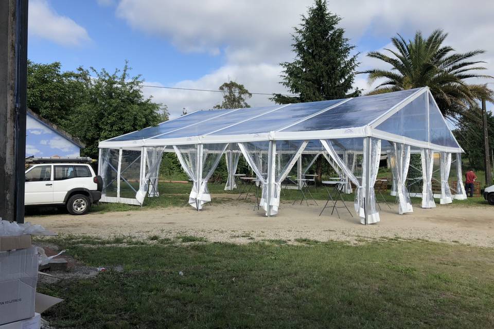 Carpa transparente