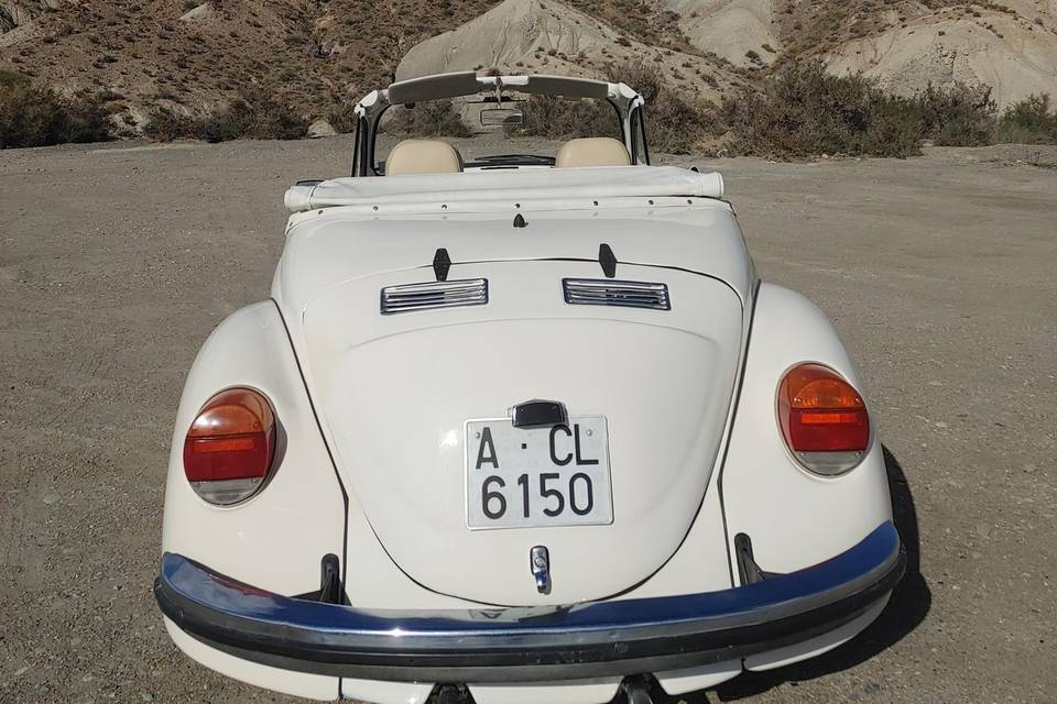 Burbuja del desierto